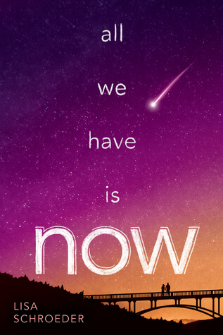 Review: All We Have is Now by Lisa Schroeder