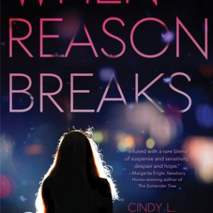Review: When Reason Breaks by Cindy L. Rodriguez