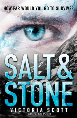 Review: Salt & Stone by Victoria Scott